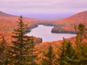 Groton State Forest