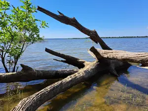 Cooper Lake State Park - Doctors Creek Unit