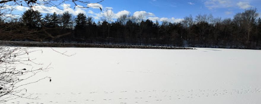 River Road Park