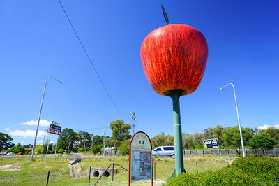 The Big Apple
