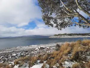Miena Dam Lookout