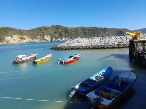 Estaquilla