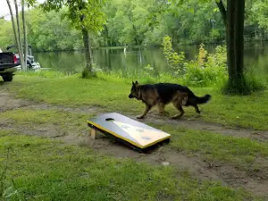 Rivers Edge Camping