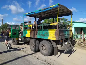 El nicho