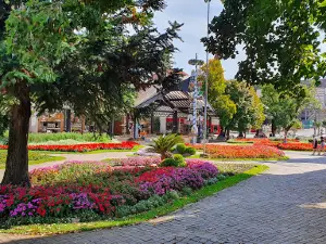 Praça das Flores