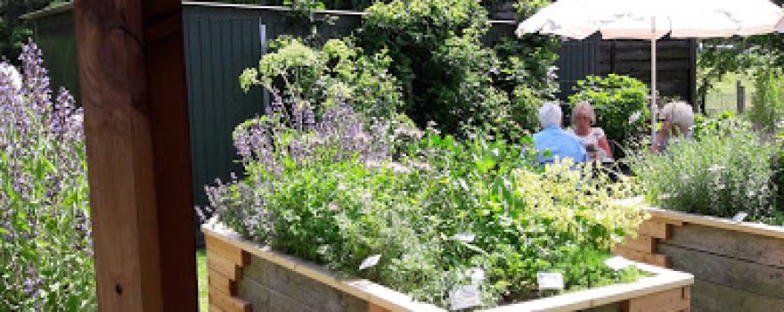 Micha`s Kraeutergarten