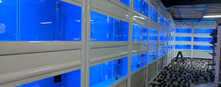 AquaZoo 수족관