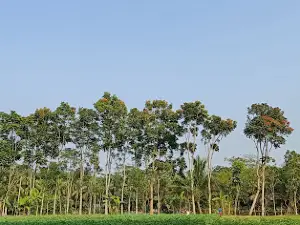 Faridgonj Bazar Masjid