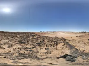 Crystal Beach Arena