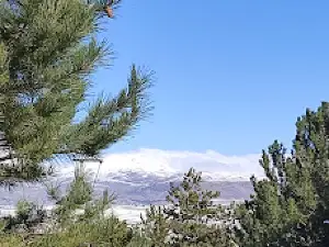 Çamlık Piknik Alanı