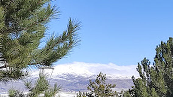 Çamlık Piknik Alanı