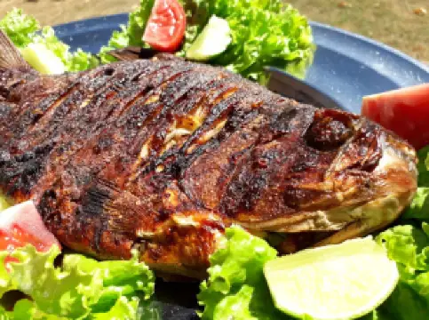 Pesque e Pague Tarumã