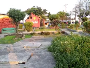 Garden Valentine's