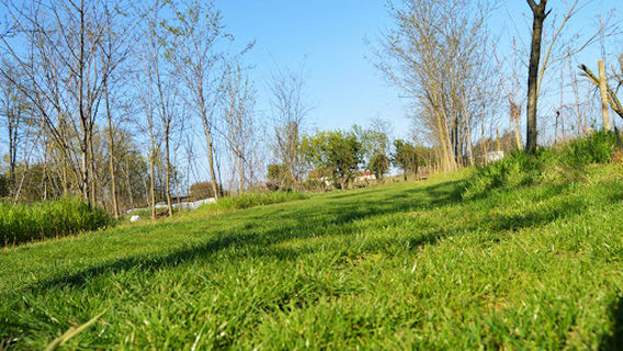 Camping La Serghei Delta Dunării