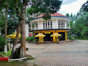 Hoang Anh Gia Lai Football Academy