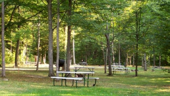 Bayfort Camp
