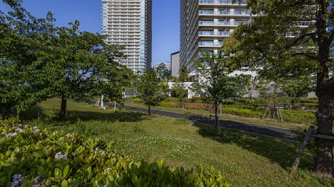 Harumi Rinkai Park