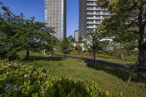 Harumi Rinkai Park