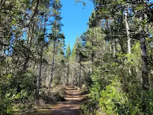 Leadbetter Point Trailhead