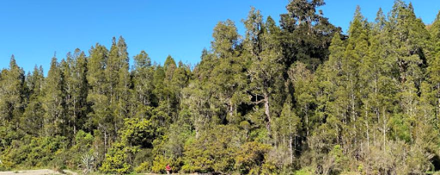 Rakaitane Walk