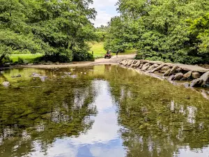 Tarr Steps Woodland National Nature Reserve