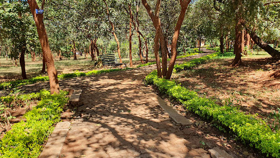 Lilongwe Botanic Garden