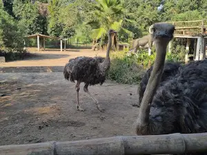 Rana Resort & Safari Park