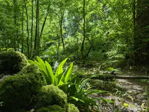 Gorges de la Vingeanne