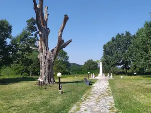 Takovski grm