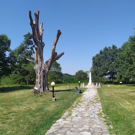 Takovski Bush