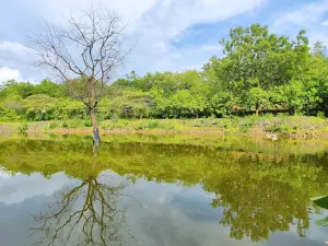 Landor khori park