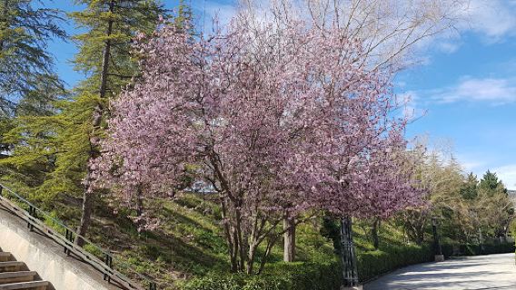 Cantagallet Park