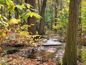 Twin Mills Campground