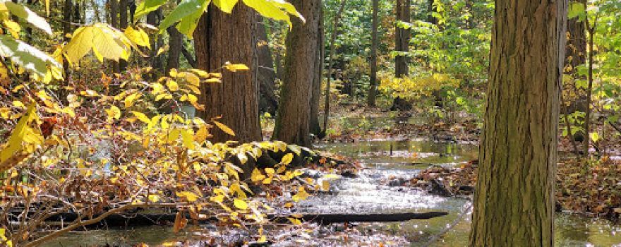 Twin Mills Campground