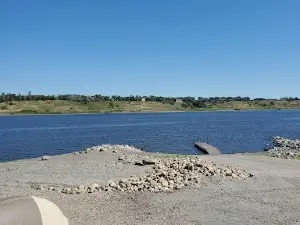 Lazy Fish at Pelican Point
