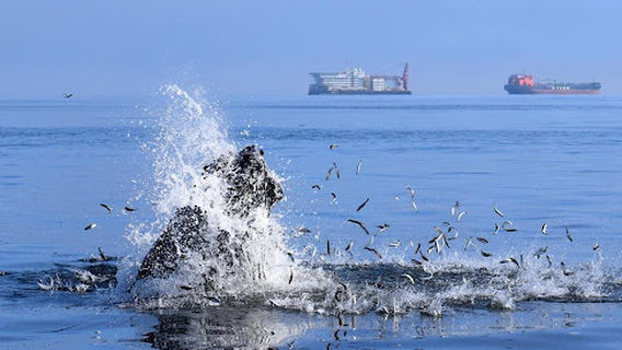 Walvis Bay