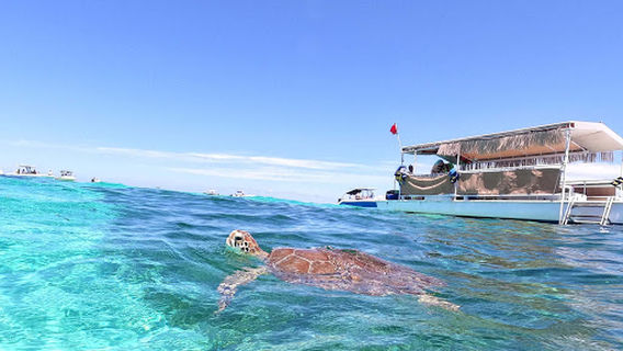 Clearly Unique Charters