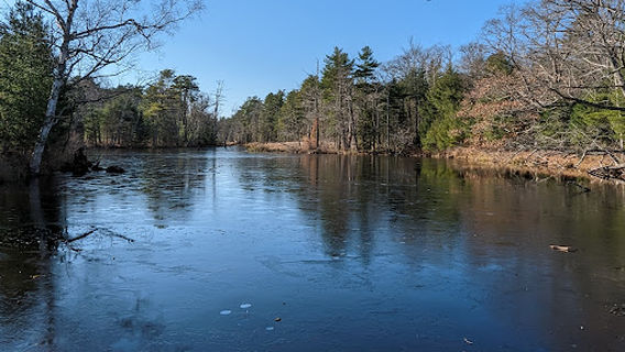 Robinson Woods Preserve