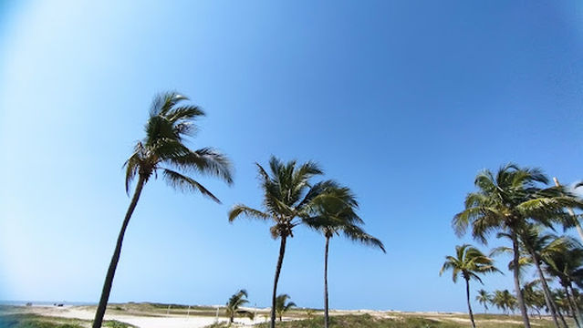 Escultura do Caranguejo Gigante