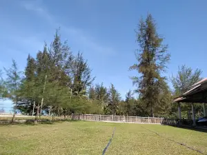 Pan Semujur Beach