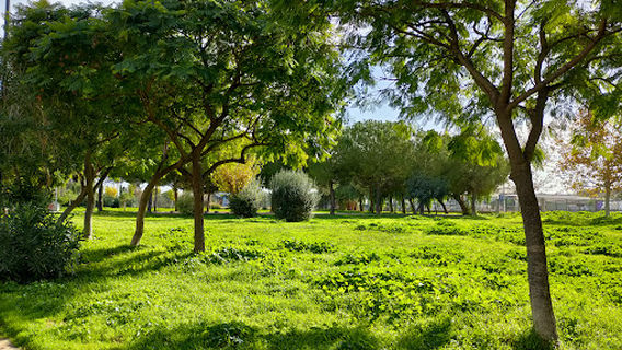 Katrakio Theater of Nikaia