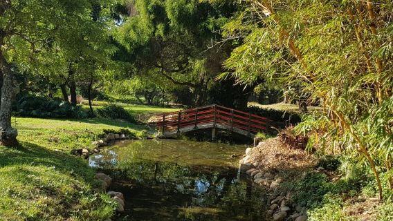 Japanese Gardens