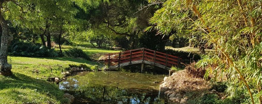 Japanese Gardens