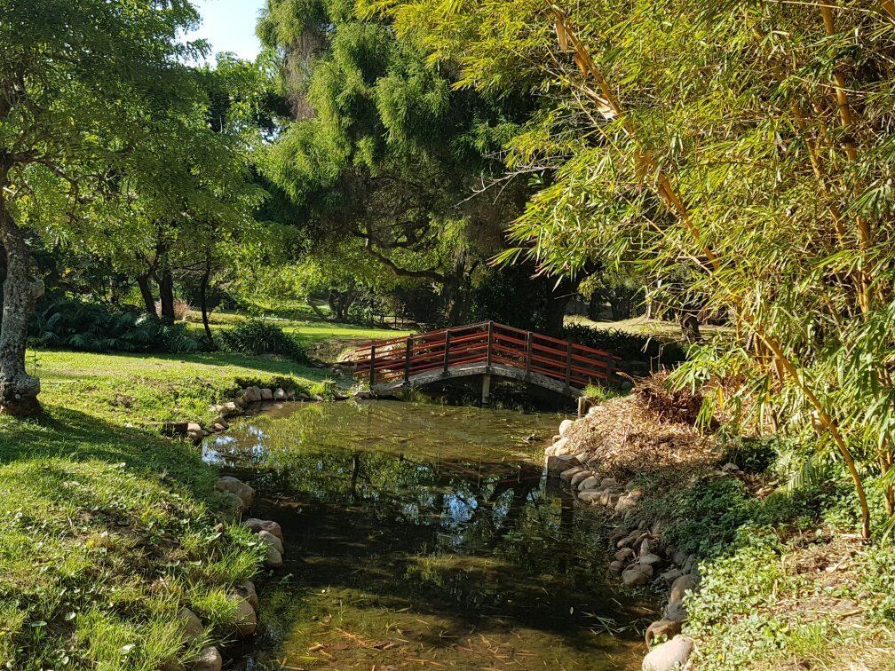 Japanese Gardens