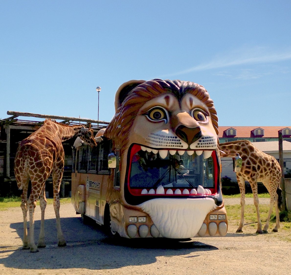 杤木 那須サファリパーク 入場Eチケット 予約