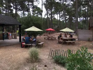 Parc de l'Aventure
