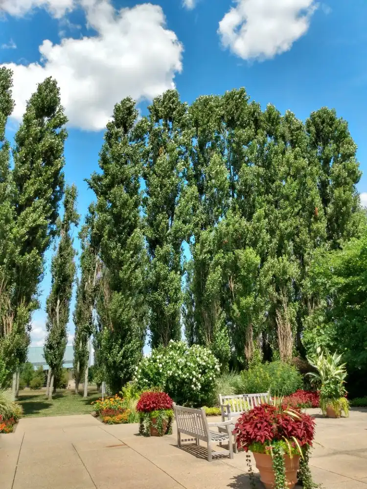 فنادق في College Township