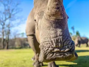 Gulf Breeze Zoo