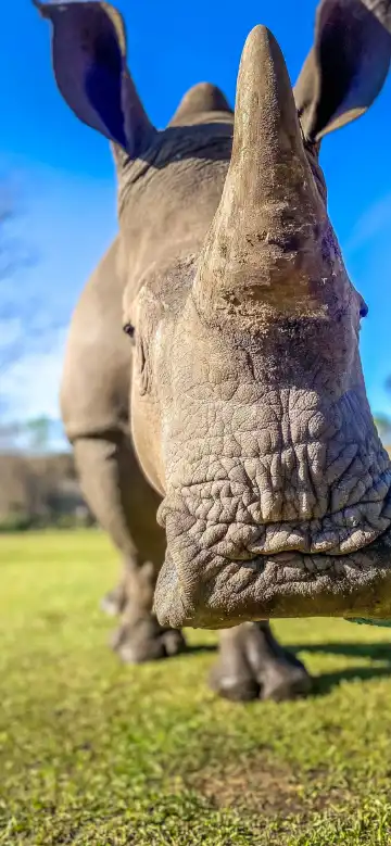 Hotels in Santa Rosa County