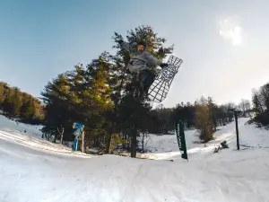 Wolf Ridge Ski Resort